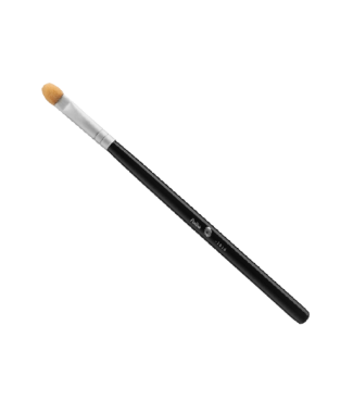 Pollie Pincel Esponja Ref.01816                             