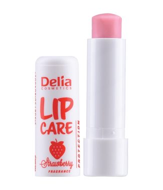Delia Lip Care Strawberry 4.9gr                             